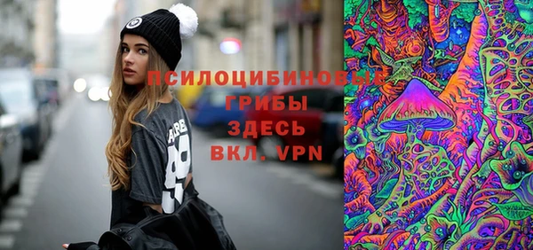 герыч Козельск