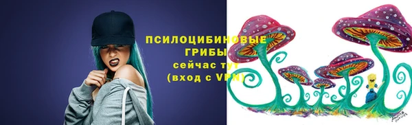 герыч Козельск