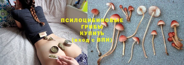 дживик Кодинск