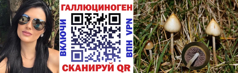 Купить где  Майкоп  Галлюциногенные грибы Magic Shrooms 